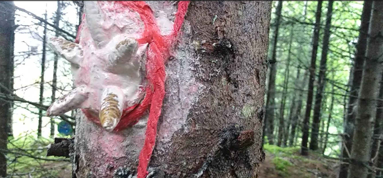 Atelier INTELLIGENCE NATURALISTE, détail oeuvre in situ